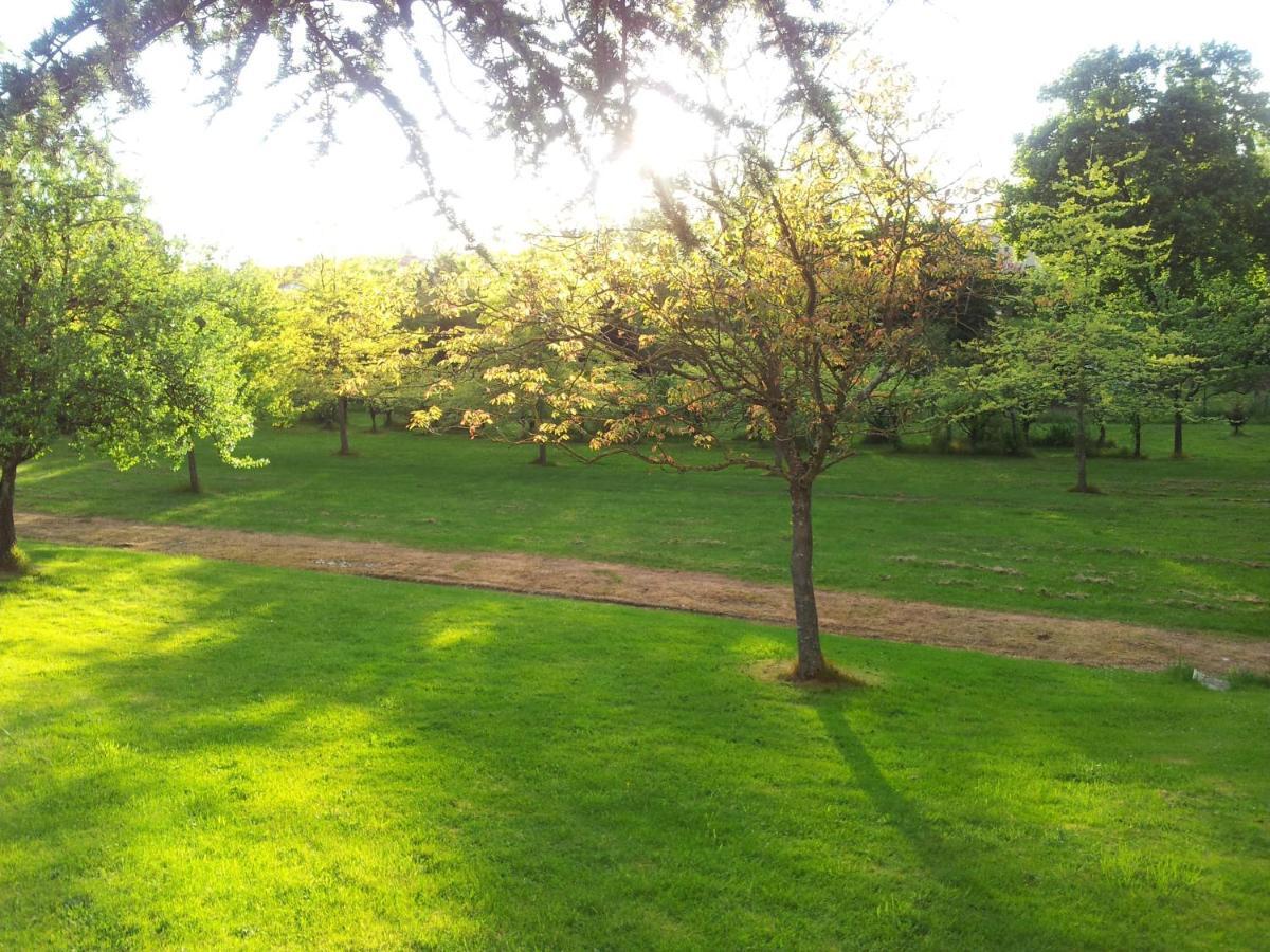 Domaine Du Bocage Hotel Chavagnes-en-Paillers Bagian luar foto